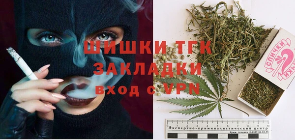 шишки Вязники